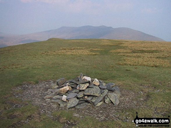 lonscale fell