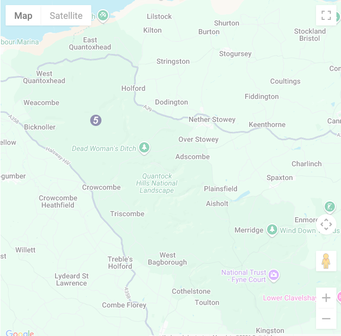 Google Map Place Holder