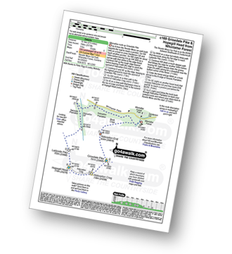 Walk route map with easy-to-follow route instructions for walk c169 Grisedale Pike and Hopegill Head from Whinlatter Forest pdf