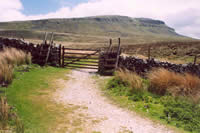 Pen-y-ghent - The 1st of the Yorkshire Three Peaks