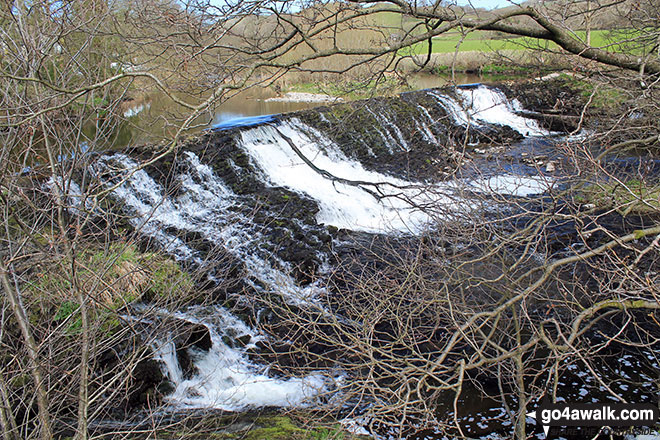 Walk c268 Potter Tarn, and The River Kent from Staveley - The weir on the River Kent, Staveley