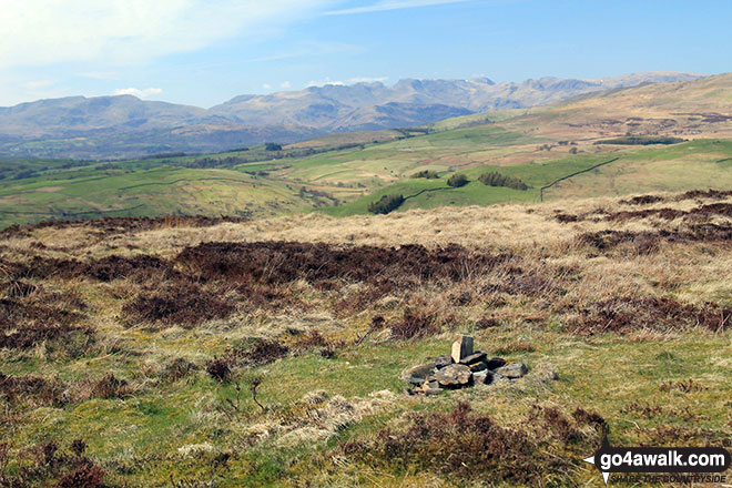 The summit of Brunt Knott (South Top) , the highest point in The South Eastern Marches area of The Lake District Photo: Andy Lyons