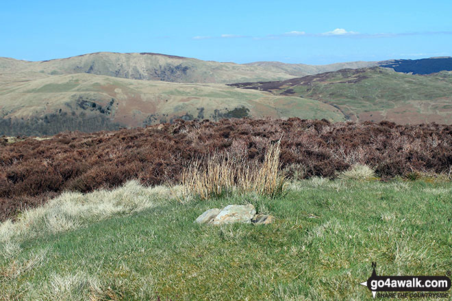 Brunt Knott (East Top) Photo by Andy Lyons