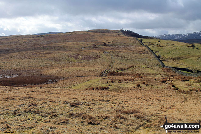 Harper Hills from Scalebarrow Knott