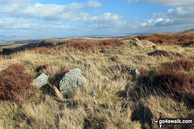 Walk c472 The Naddle Horseshoe from Hazel Shaw - The small cairn on the summit of Kit Crag (Naddle Forest)