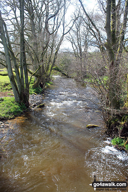 Walk c377 Faulds Browfrom Caldbeck - Whelpo Beck