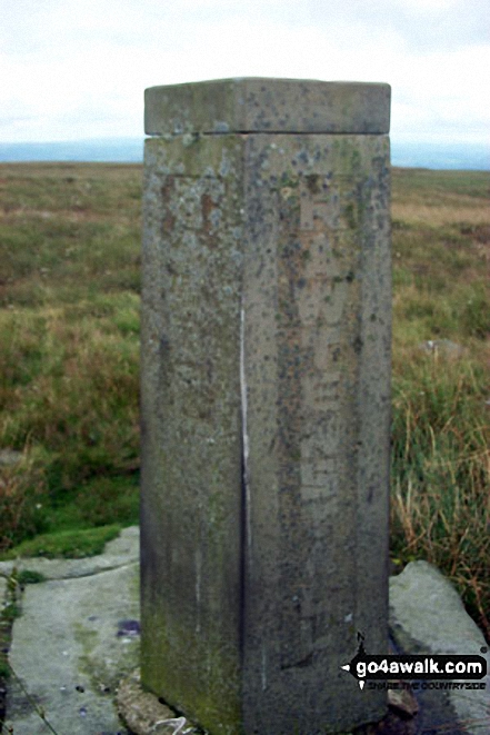 Walk l136 Cowpe Lowe and Hail Storm Hill from Cowpe - Boundary Stone on Top of Leach, Cowpe Moss