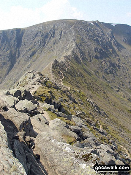 Walk c427 Helvellyn via Striding Edge from Patterdale - On Striding Edge - looking up to Helvellyn