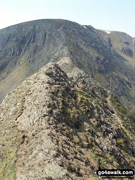 Walk c427 Helvellyn via Striding Edge from Patterdale - On Striding Edge en-route to Helvellyn