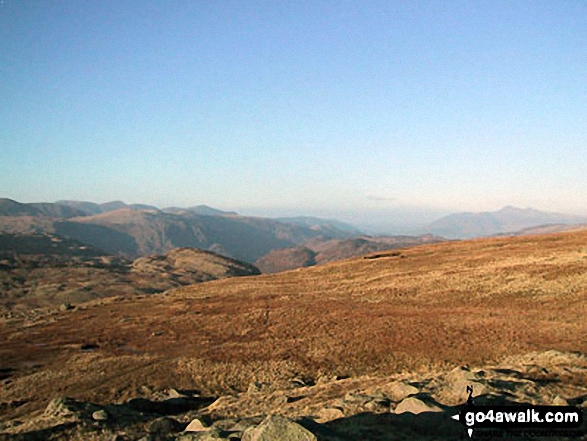 Walk c369 High Raise, Ullscarf and Grange Fell from Rosthwaite - Looking north across the High Raise (Langdale) massif