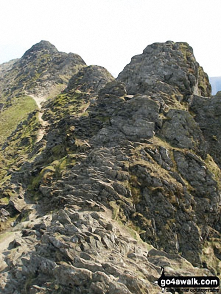 Walk c427 Helvellyn via Striding Edge from Patterdale - Striding Edge