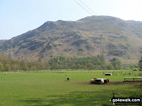 Walk c427 Helvellyn via Striding Edge from Patterdale - Place Fell from Patterdale