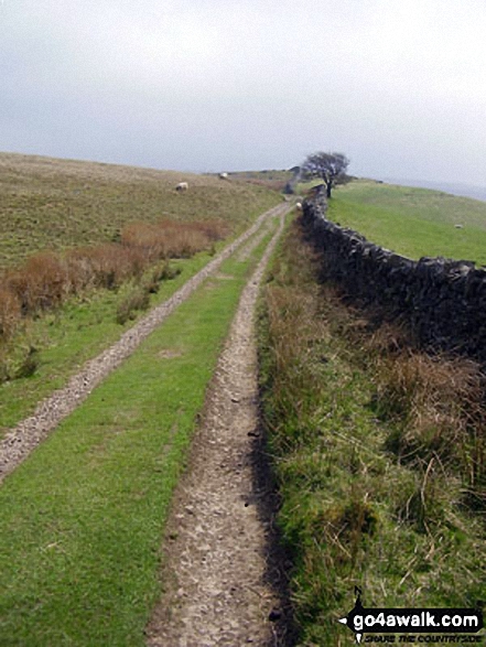 The Coast to Coast Walk up Hartley Fell towards Nine Standards Rigg