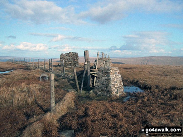 Walk c319 Cross Wold from Dent Railway Station - Great Knoutberry Hill (Widdale Fell) summit trig point