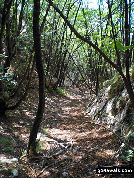 Mountain path on the lower slopes of Monte Baldo above Malga Fiabio