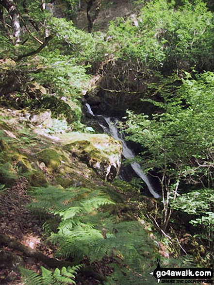 Walk gw103 Cadair Idris (Penygadair), Cyfrwy and Gau Graig via The Minffordd Path - Nant Cadair from The Minffordd Path, Minffordd