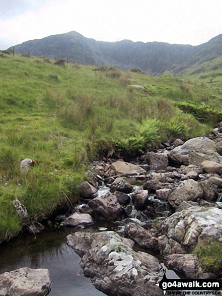 Looing back up to Gau Graig from Mynydd Gwerngraig