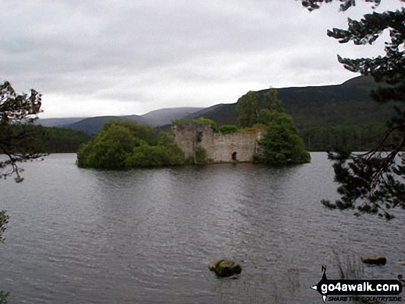 The ruined castle on Loch an Eilein (Rothiemurchus)