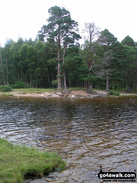 Loch an Eilein (Rothiemurchus)