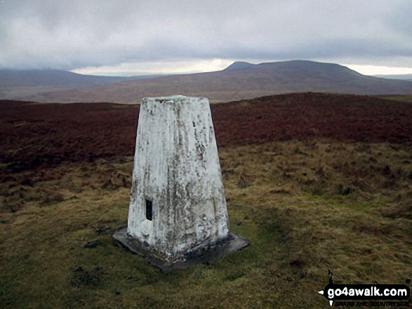 Walk ny153 Sugar Loaf (Horse Head Moor) and Firth Fell from Buckden - Pen-y-ghent from Horse Head Moor summit trig point