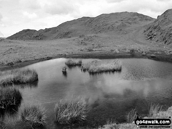 Walk c217 Dunnerdale Fell, Great Stickle, Stickle Pike, Raven's Crag and The Knott from Broughton Mills - Small Tarn between Great Stickle (Dunnerdale Fells) and Stickle Pike (Dunnerdale Fells)