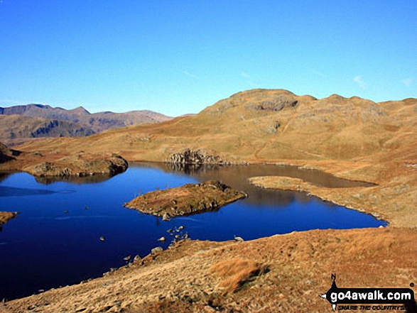 Angle Tarn