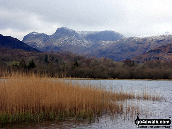 The Langdale Pikes from Elter Water