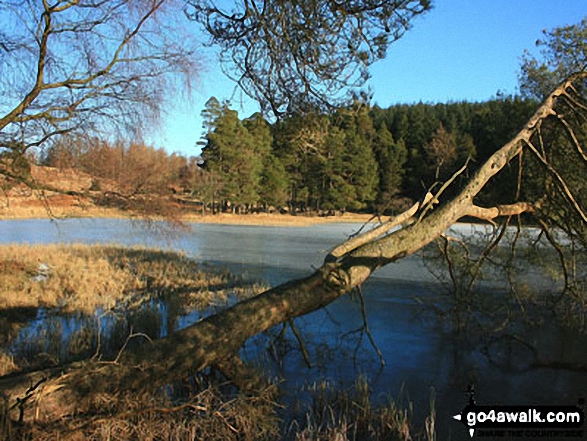 Wraymires Tarn