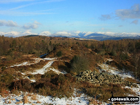 On the summit of Finsthwaite Heights