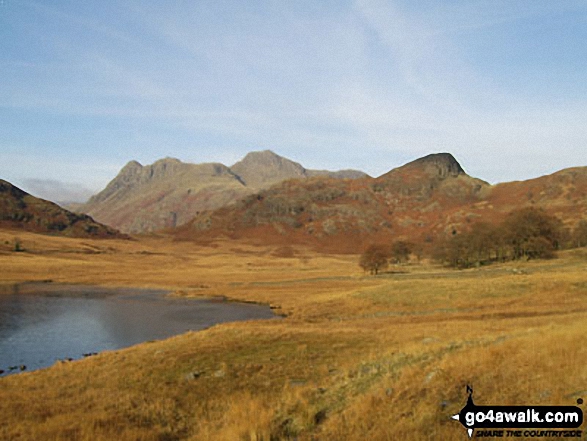 The Langdale Pikes (left) and Side Pike (right) from Blea Tarn (Langdale)