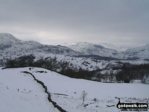 Wetherlam with the Langdale Pikes beyond from Iron Keld near Tarn Hows