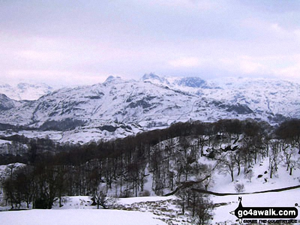 Lingmore Fell and the Langdale Pikes from Iron Keld near Tarn Hows