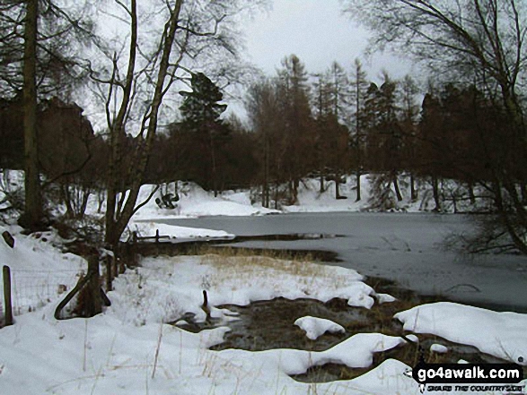 Tarn Hows in the snow