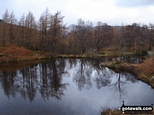 Reflections in Yew Tree Tarn below Holme Fell