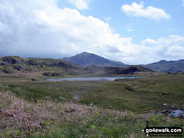 Walk c110 The Eskdale Skyline from Wha House Farm, Eskdale - Eel Tarn taken en-route to Sca Fell from Eskdale