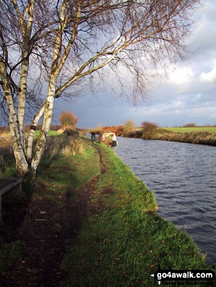 Walk ch120 The Bridgewater Canal from Lymm - The Bridgewater Canal nr Dunham Town