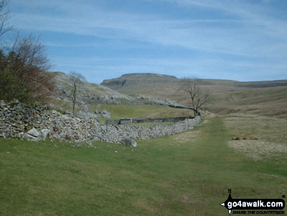 Walk ny154 Ingleborough and the Ingleton Waterfalls from Ingleton - Approaching Ingleborough from Crina Bottom