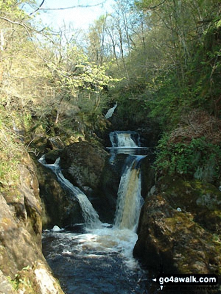 Walk ny154 Ingleborough and the Ingleton Waterfalls from Ingleton - The Ingleton Waterfalls