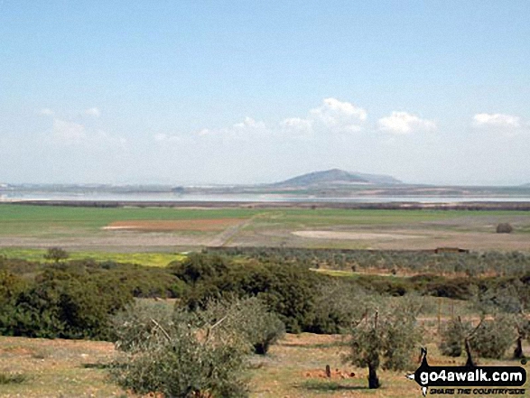 Lagunas de Fuenta de Piedra y Campillos