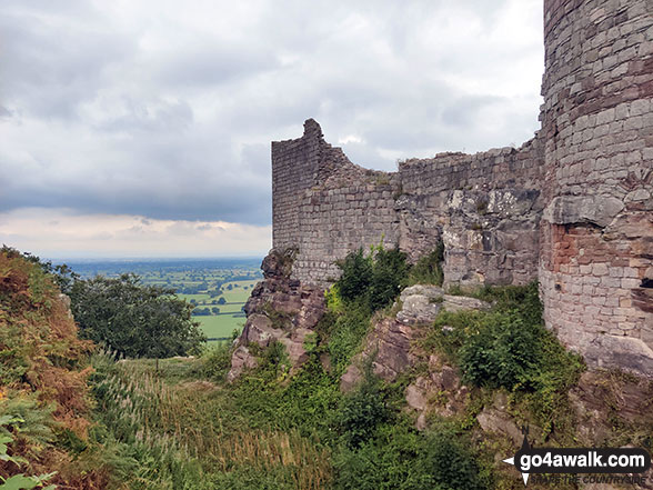 Walk ch151 The Sandstone Trail and The Shropshire Union Canal from Tiverton - Beeston Castle moat