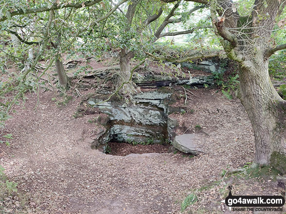 Walk ch151 The Sandstone Trail and The Shropshire Union Canal from Tiverton - Pit in Beeston Castle's Outer Bailey