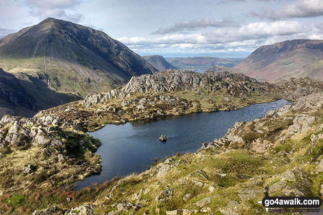 Walk c456 Fleetwith Pike, Hay Stacks, Brandreth and Grey Knotts from Honister Hause - Seat (Buttermere) & High Crag (Buttermere) (left) and Grasmoor (right) from the small pool on Hay Stacks (Haystacks)