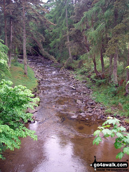 Hudeshope Beck from Skears Lime Kilns