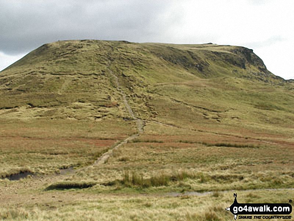 The Kinder Plateau from Mill Hill (Ashop Head)