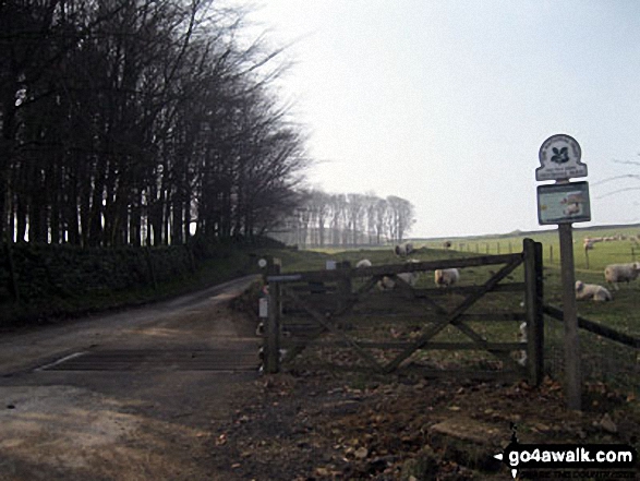 Access Road to Crookhill Farm, Ladybower Reservoir