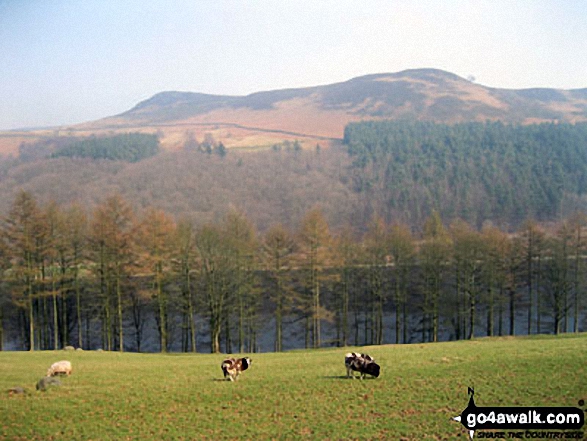 Hurkling Stones (left) and Whinstone Lee Tor (right) above  Ladybower Reservoir from the lower slopes of Crokk Hill (Ladybower) near Crookhill Farm