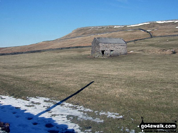 Walk ny160 Addlebrough and Thornton Rust from Askrigg, Wensleydale - Addlebrough from Carpley Green Farm