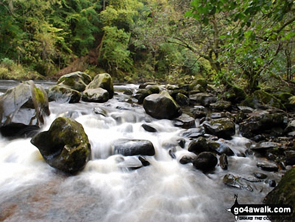 Falls of the Braan at the Hermitage, near Dunkeld