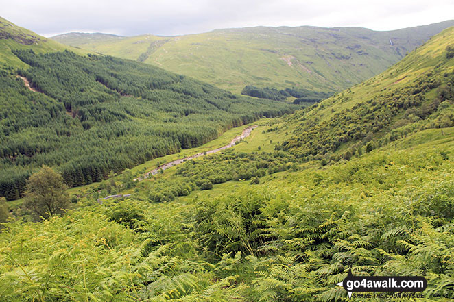 Looking down to Glen Fyne from the lower slopes of Beinn Bhuidhe (Glen Fyne)