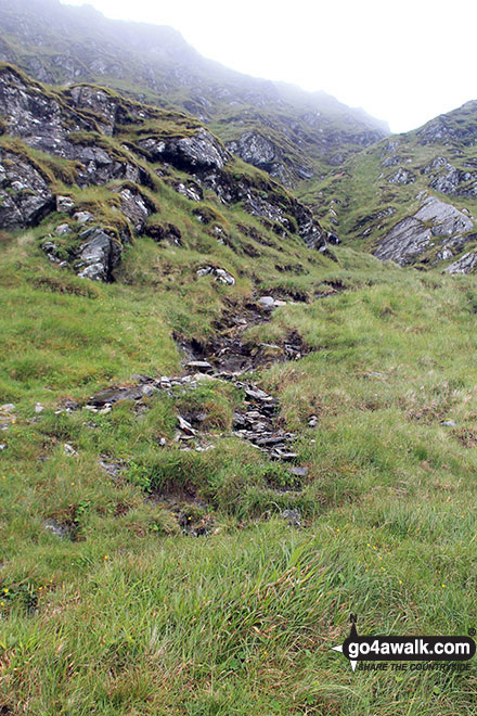 Nearing the top of Beinn Bhuidhe (Glen Fyne)